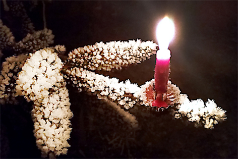 Kerze auf einem mit Schnee bedeckten Tannenast Christbaum
