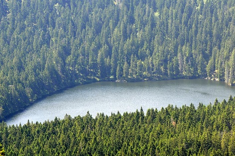 Čertovo jezero na Šumavě