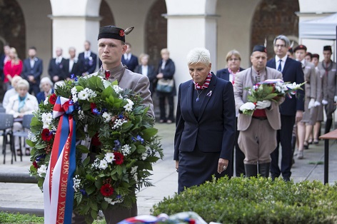 Památný den sokolstva v Praze